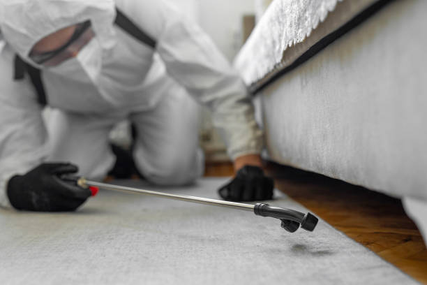 Professional Bed Bug Control technician working in Highlands County County, FL
